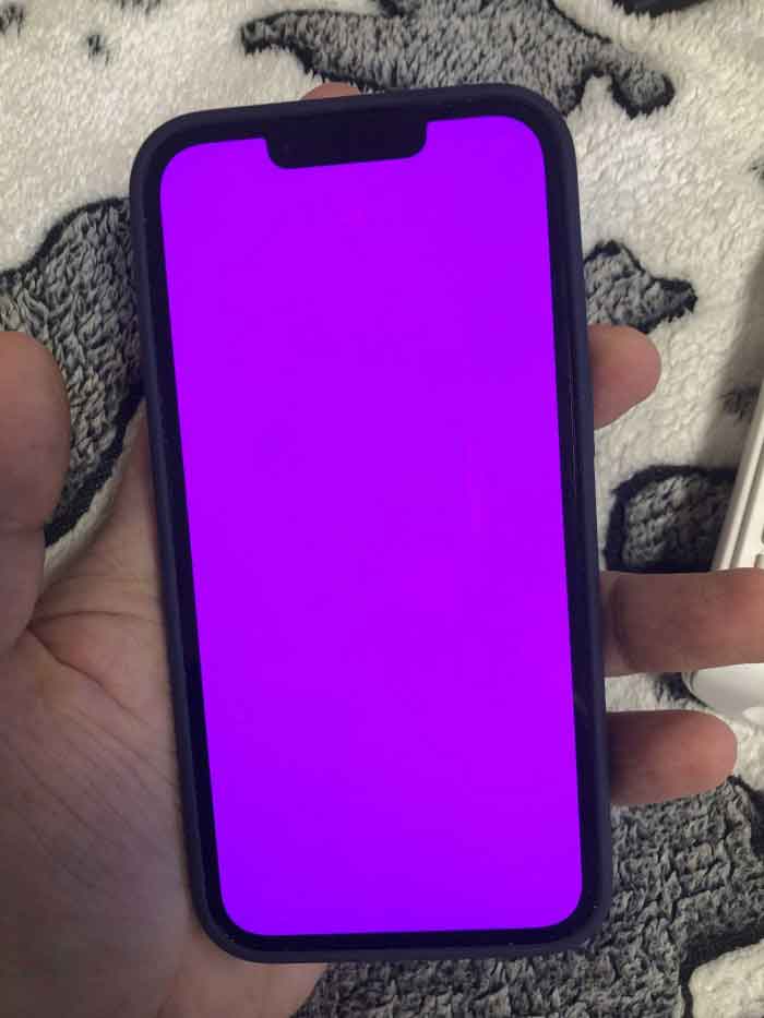 iphone 13 pink screen