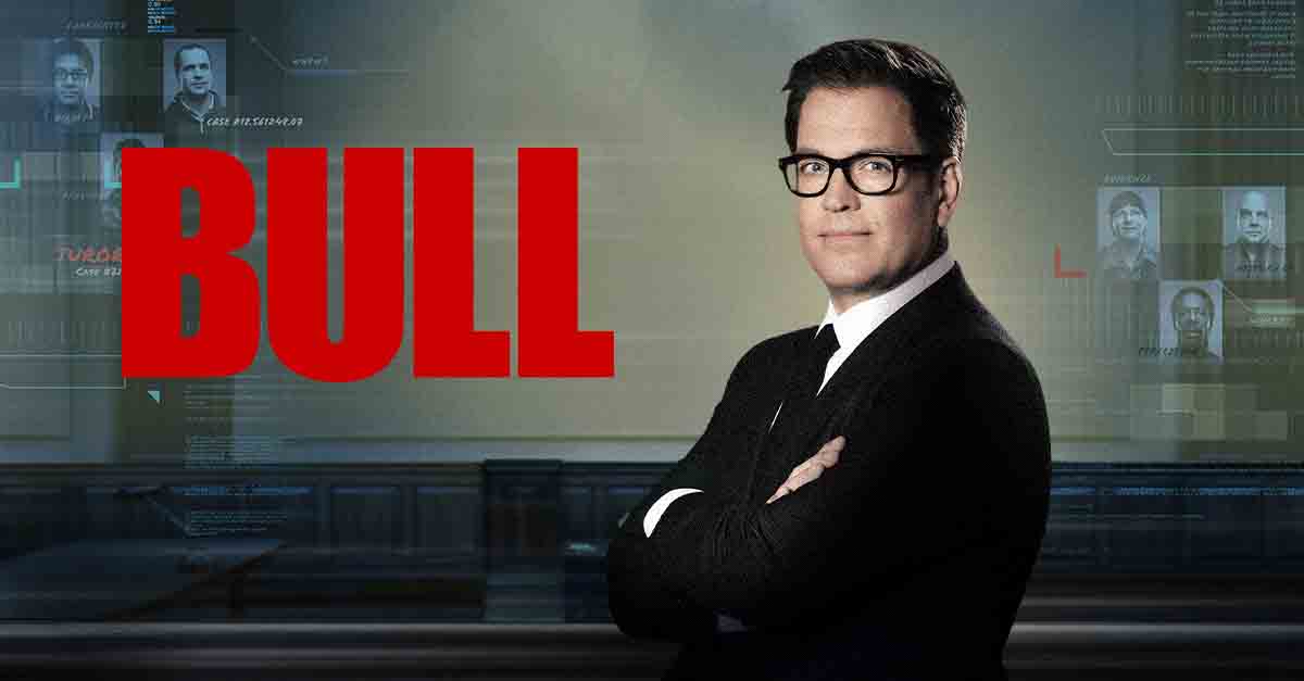 bull