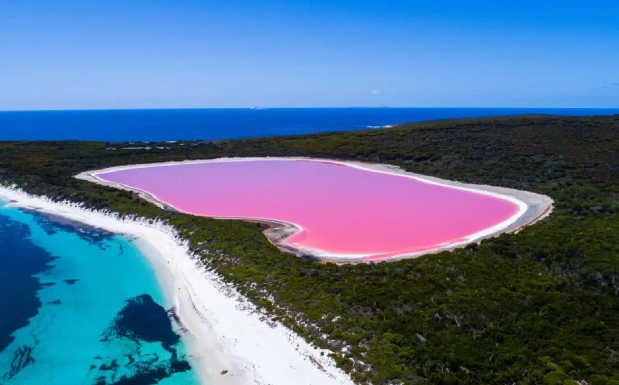 دریاچه هیلیر استرالیا (Lake Hillier)