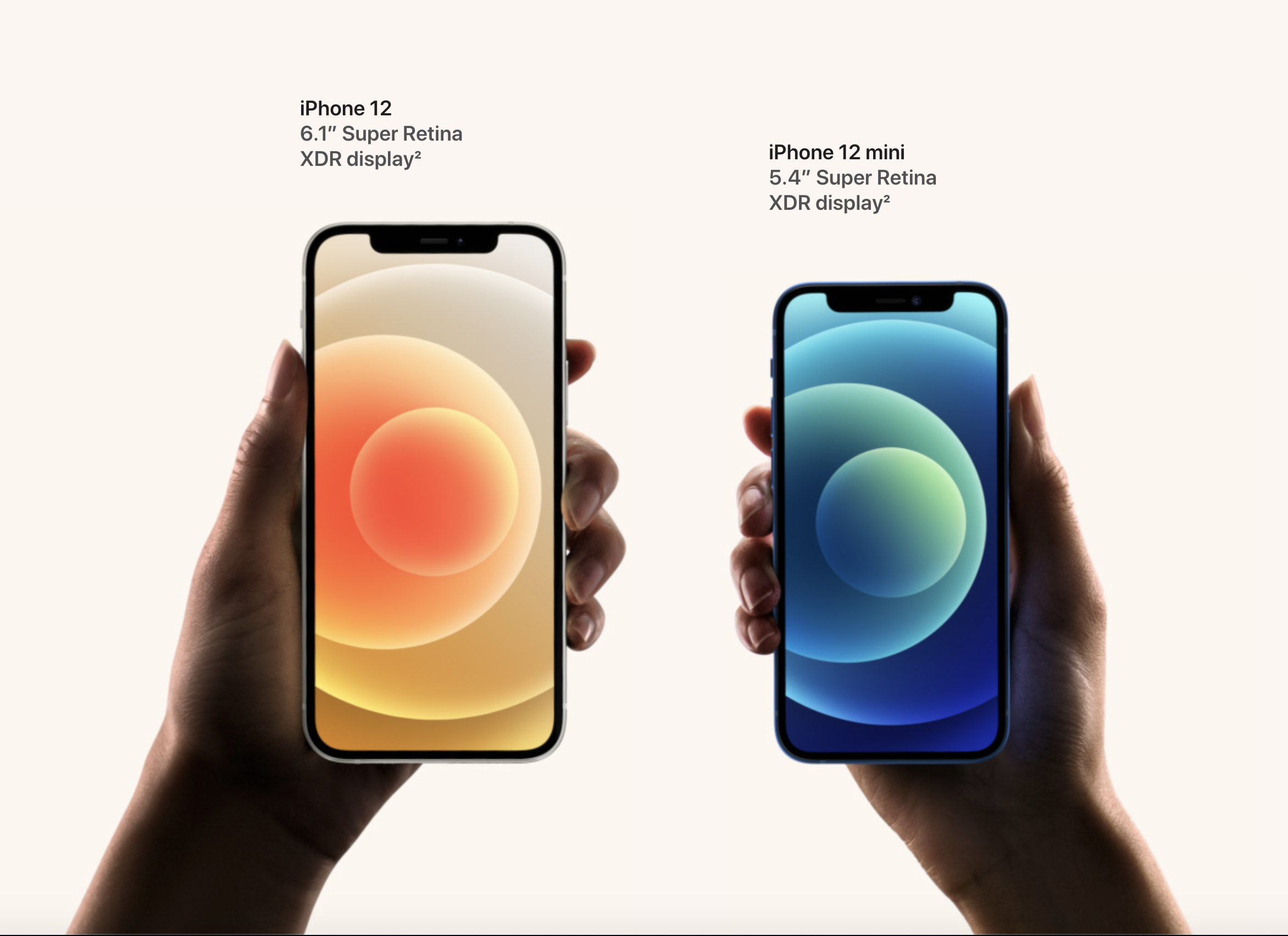 iPhone - low budgt -  ارزان - آیفون - اپل - ۱۲ - ۱۲ مینی
